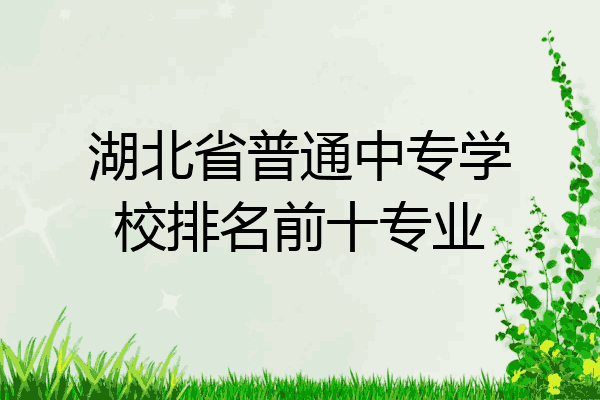 湖北省普通中专学校排名前十专业