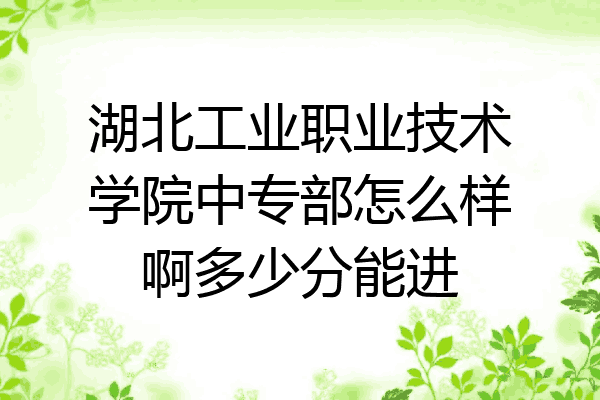 湖北工业职业技术学院中专部怎么样啊多少分能进