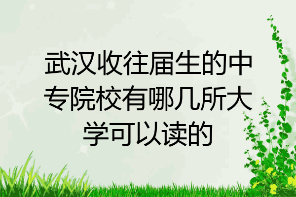 武汉收往届生的中专院校有哪几所大学可以读的