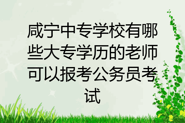 咸宁中专学校有哪些大专学历的老师可以报考公务员考试