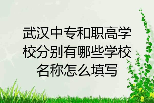 武汉中专和职高学校分别有哪些学校名称怎么填写