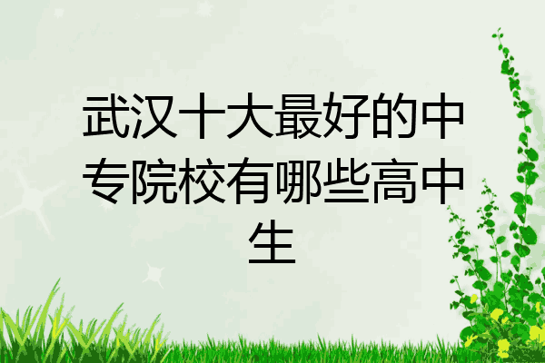 武汉十大最好的中专院校有哪些高中生