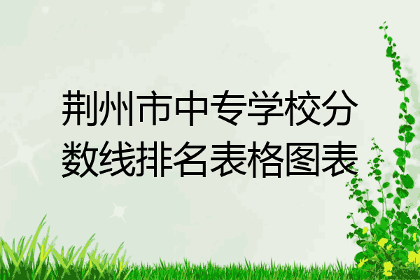 荆州市中专学校分数线排名表格图表