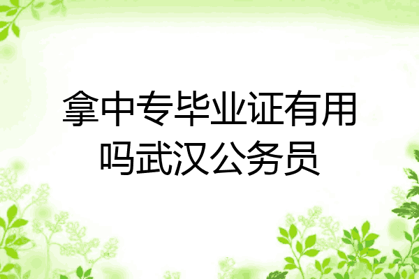 拿中专毕业证有用吗武汉公务员