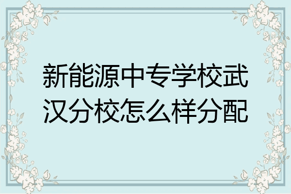 新能源中专学校武汉分校怎么样分配