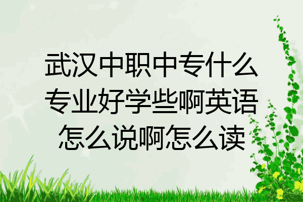 武汉中职中专什么专业好学些啊英语怎么说啊怎么读