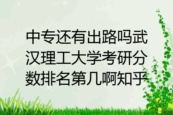 中专还有出路吗武汉理工大学考研分数排名第几啊知乎