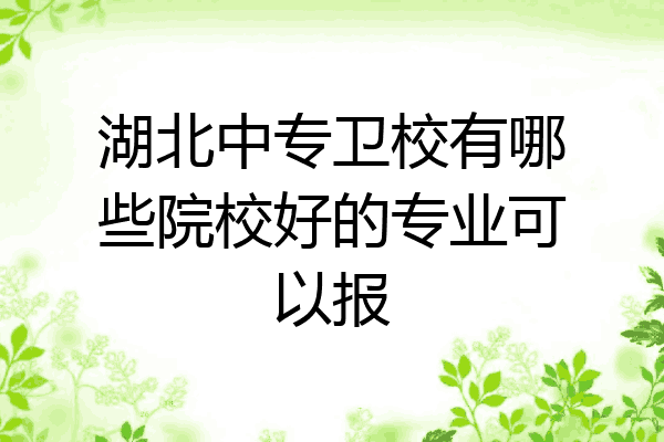 湖北中专卫校有哪些院校好的专业可以报