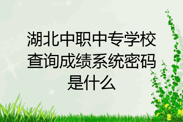 湖北中职中专学校查询成绩系统密码是什么