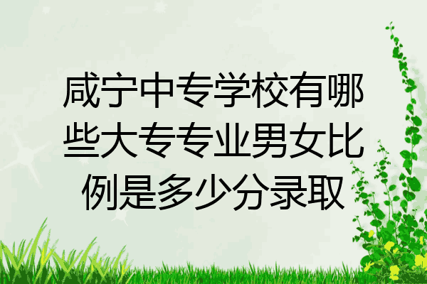 咸宁中专学校有哪些大专专业男女比例是多少分录取