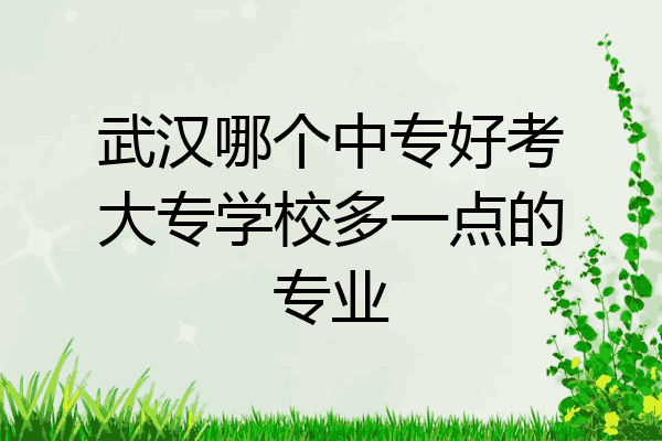 武汉哪个中专好考大专学校多一点的专业