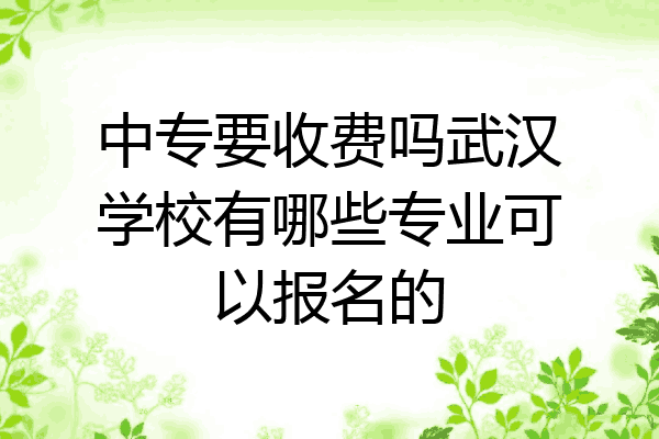 中专要收费吗武汉学校有哪些专业可以报名的