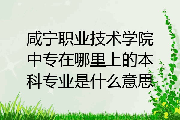 咸宁职业技术学院中专在哪里上的本科专业是什么意思
