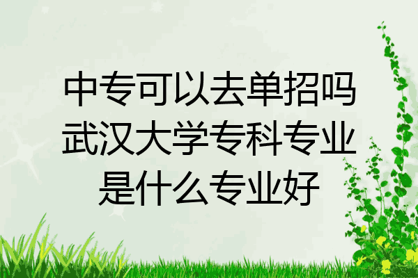 中专可以去单招吗武汉大学专科专业是什么专业好