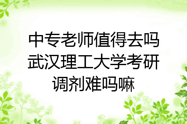 中专老师值得去吗武汉理工大学考研调剂难吗嘛