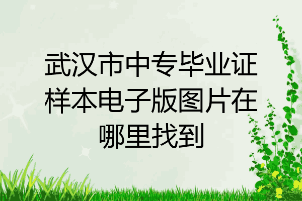 武汉市中专毕业证样本电子版图片在哪里找到