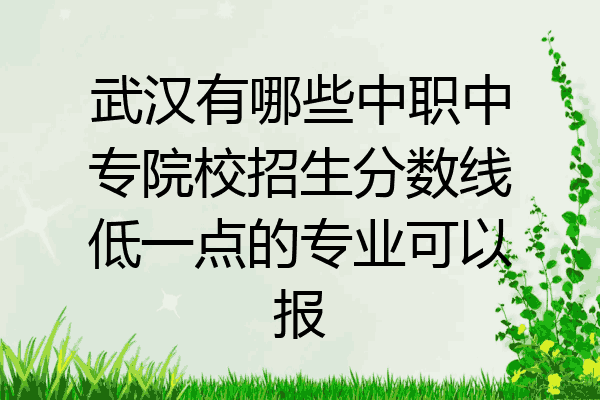 武汉有哪些中职中专院校招生分数线低一点的专业可以报