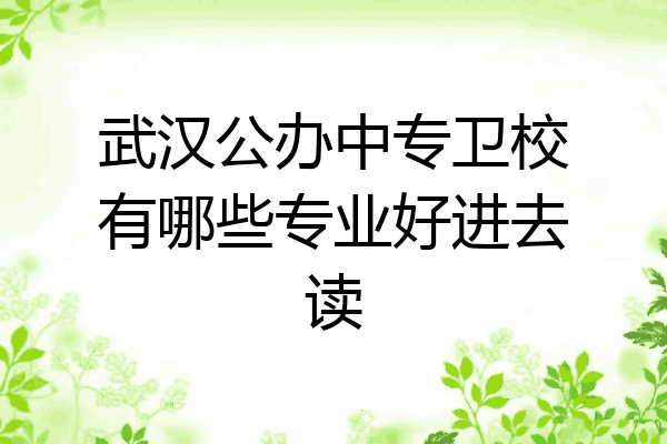 武汉公办中专卫校有哪些专业好进去读