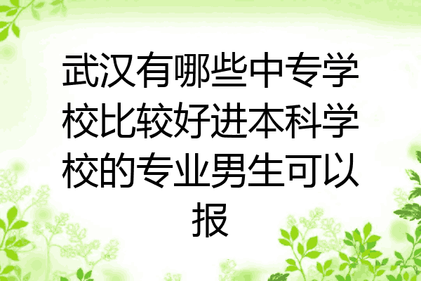 武汉有哪些中专学校比较好进本科学校的专业男生可以报