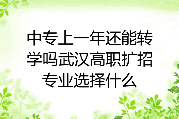 中专上一年还能转学吗武汉高职扩招专业选择什么
