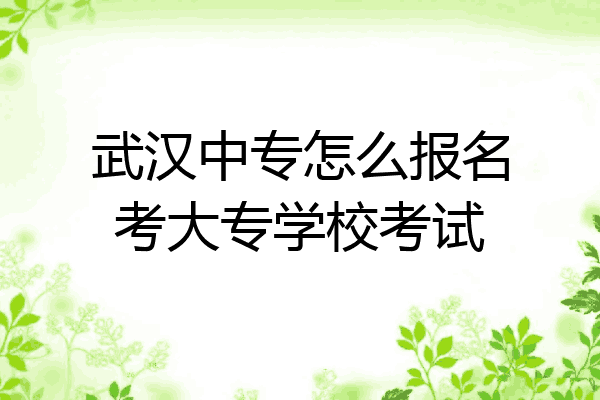 武汉中专怎么报名考大专学校考试