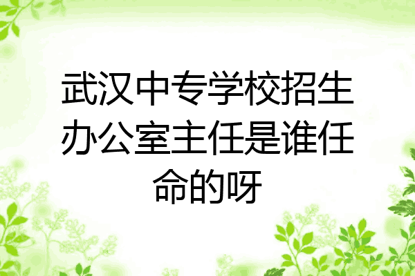 武汉中专学校招生办公室主任是谁任命的呀