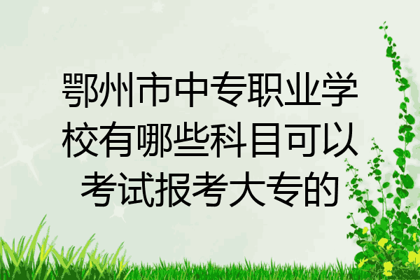 鄂州市中专职业学校有哪些科目可以考试报考大专的