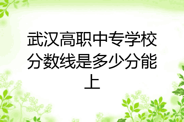 武汉高职中专学校分数线是多少分能上