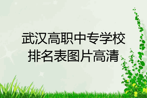 武汉高职中专学校排名表图片高清