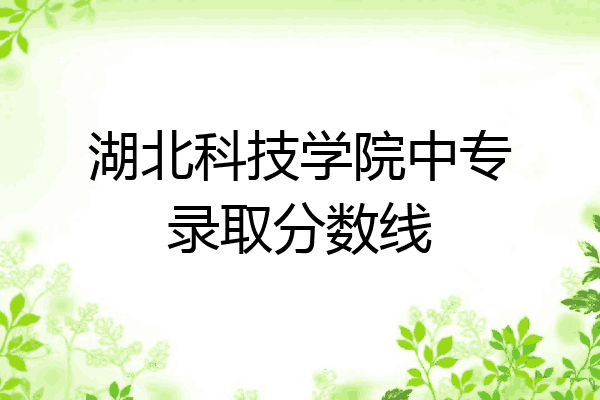 湖北科技学院中专录取分数线