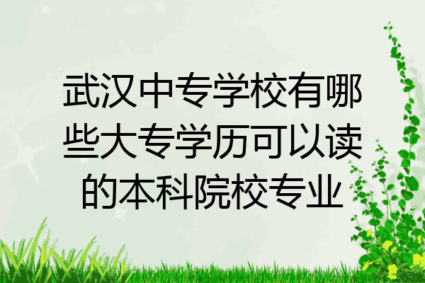 武汉中专学校有哪些大专学历可以读的本科院校专业