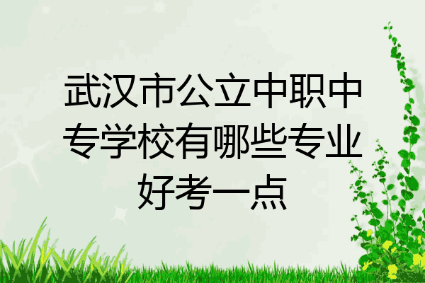 武汉市公立中职中专学校有哪些专业好考一点