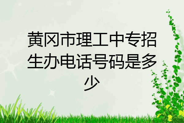 黄冈市理工中专招生办电话号码是多少