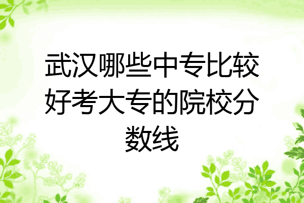 武汉哪些中专比较好考大专的院校分数线