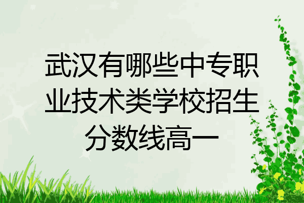 武汉有哪些中专职业技术类学校招生分数线高一