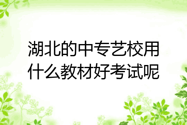 湖北的中专艺校用什么教材好考试呢