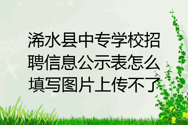 浠水县中专学校招聘信息公示表怎么填写图片上传不了