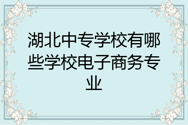 湖北中专学校有哪些学校电子商务专业