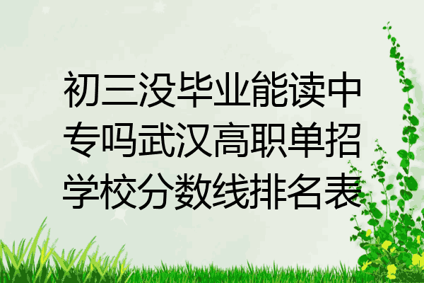 初三没毕业能读中专吗武汉高职单招学校分数线排名表