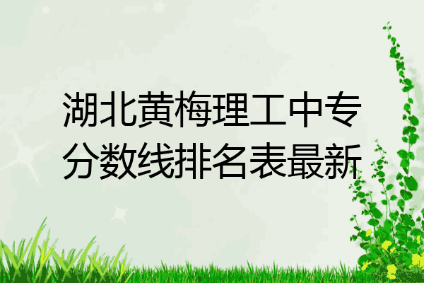 湖北黄梅理工中专分数线排名表最新