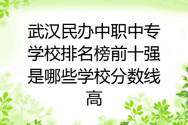 武汉民办中职中专学校排名榜前十强是哪些学校分数线高