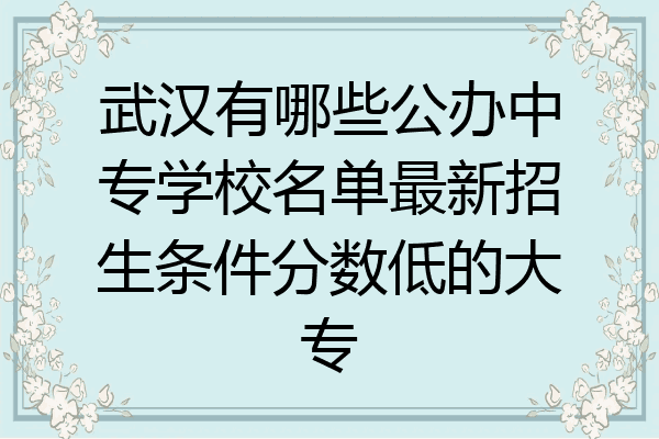 武汉有哪些公办中专学校名单最新招生条件分数低的大专