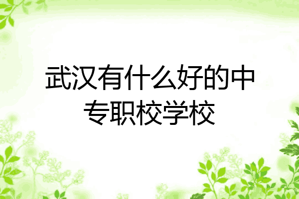 武汉有什么好的中专职校学校