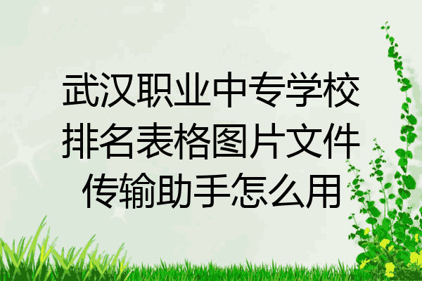 武汉职业中专学校排名表格图片文件传输助手怎么用