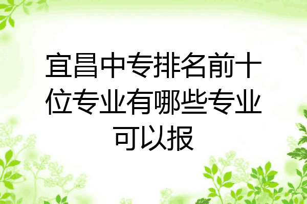 宜昌中专排名前十位专业有哪些专业可以报