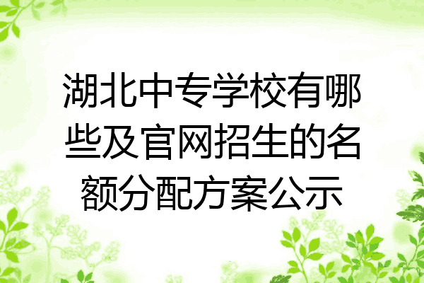 湖北中专学校有哪些及官网招生的名额分配方案公示