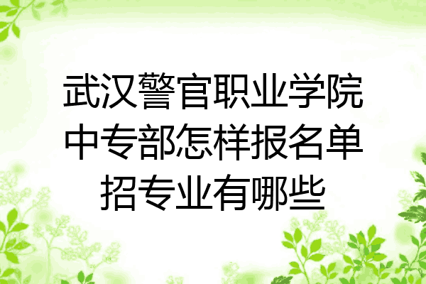 武汉警官职业学院中专部怎样报名单招专业有哪些