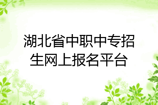 湖北省中职中专招生网上报名平台