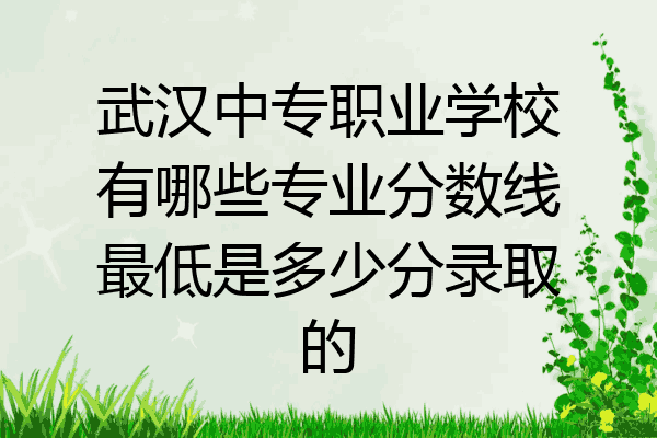 武汉中专职业学校有哪些专业分数线最低是多少分录取的
