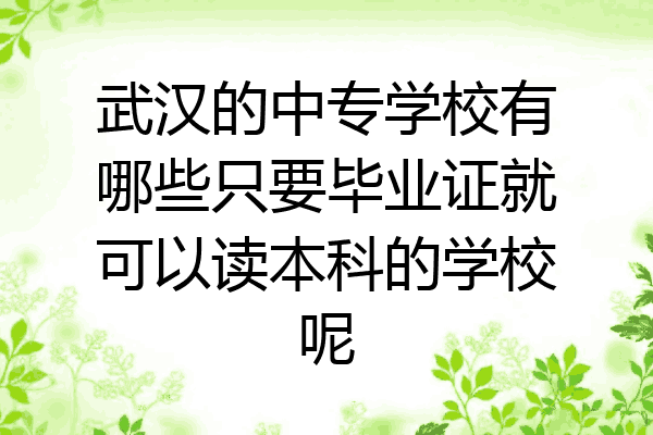武汉的中专学校有哪些只要毕业证就可以读本科的学校呢